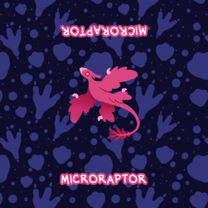 MICRORAPTOR