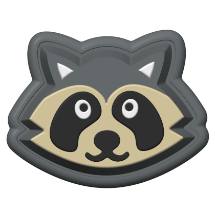 Raccoon