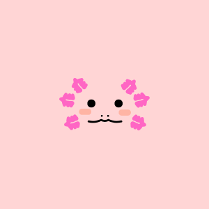 Axolotl Face