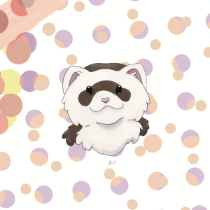 Ferret