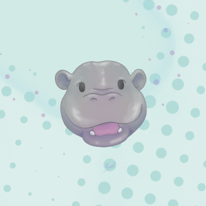 Hippo