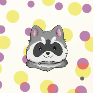 Racoon